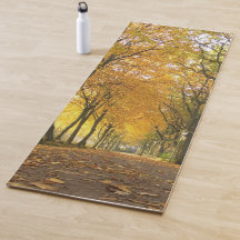 Autumn path with yellow trees and fallen leaves