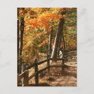Autumn pathway postcard