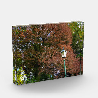 Autumn  photo block