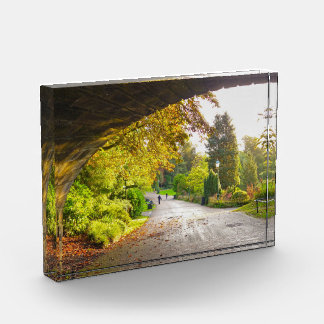 Autumn  photo block