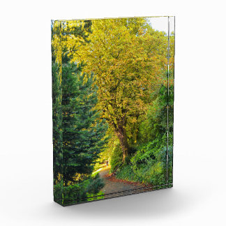 Autumn  photo block