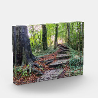 Autumn  photo block
