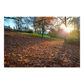 Autumn  photo print