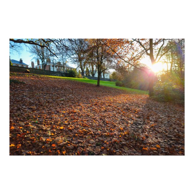 Autumn  photo print (Front)