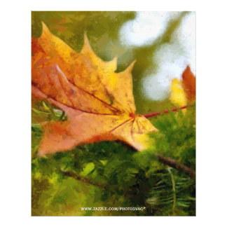 Autumn Photo Print