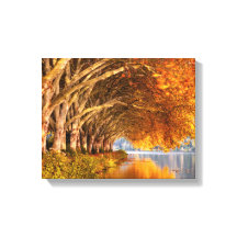 Autumn Plane Trees Over a Lake