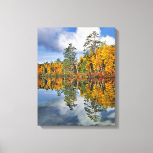 Autumn pond reflections, Maine Canvas Print