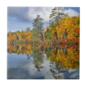 Autumn pond reflections, Maine Tile