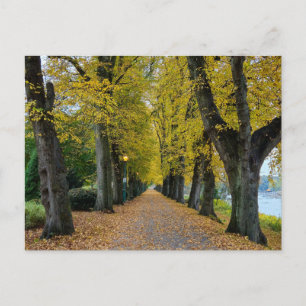 Autumn postcard
