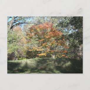 Autumn Postcard