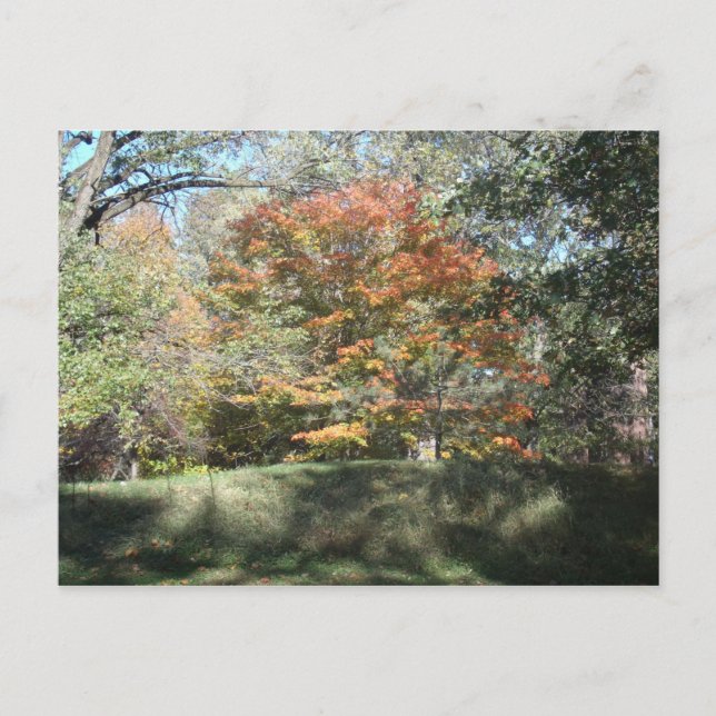 Autumn Postcard (Front)