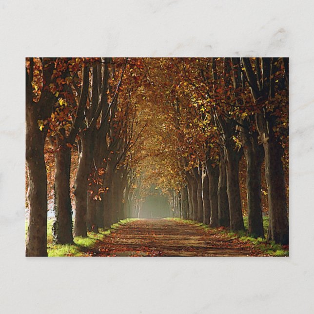 autumn postcard (Front)