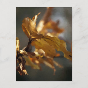 Autumn Postcard