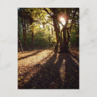 Autumn |