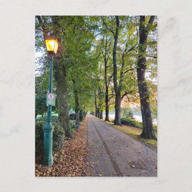 Autumn Postcard (Front)
