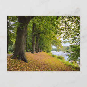 Autumn Postcard