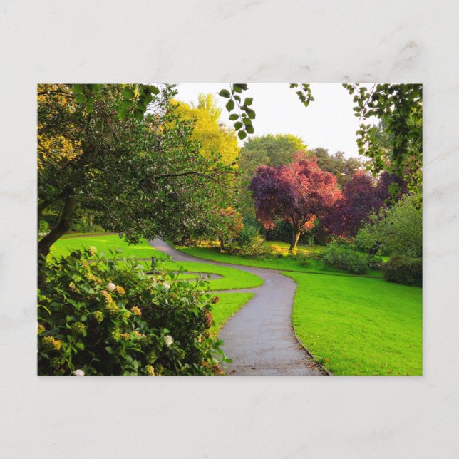 Autumn  postcard (Front)