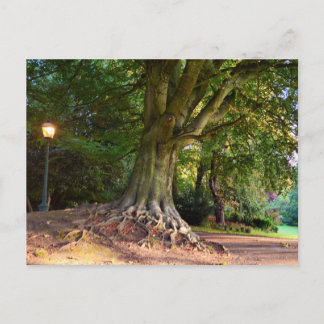 Autumn  postcard