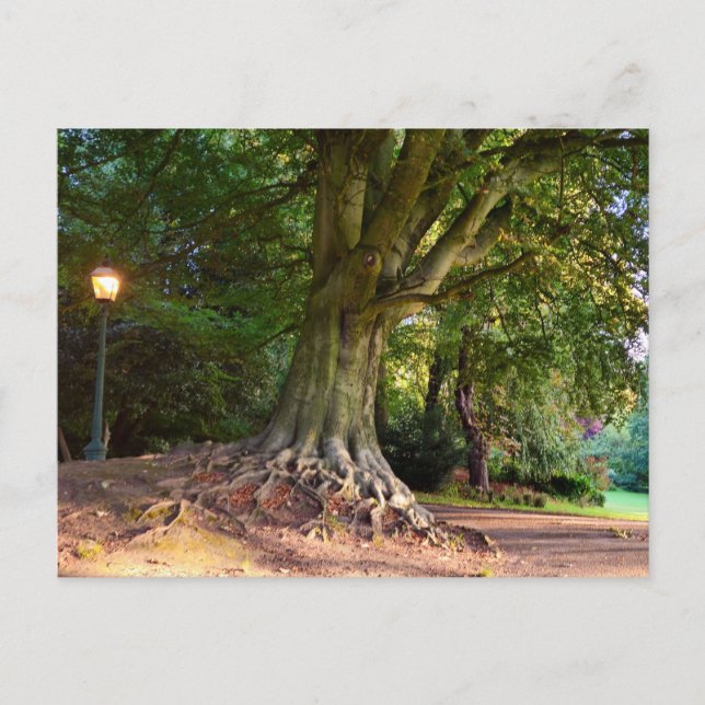 Autumn  postcard (Front)