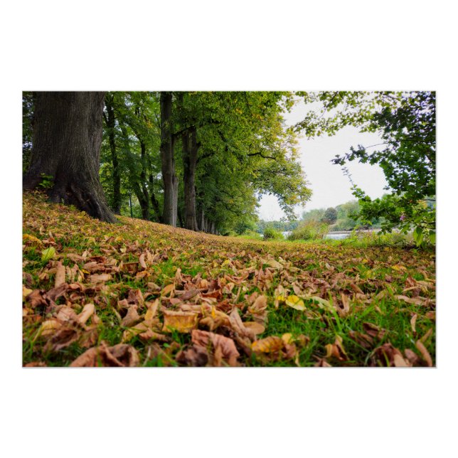 Autumn Poster (Front)