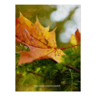 Autumn Poster