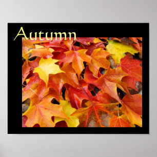 Autumn poster art prints Fall Art Colorful Leaves