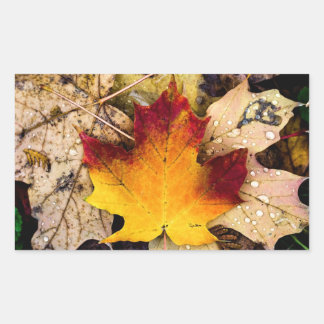 autumn presence sticker