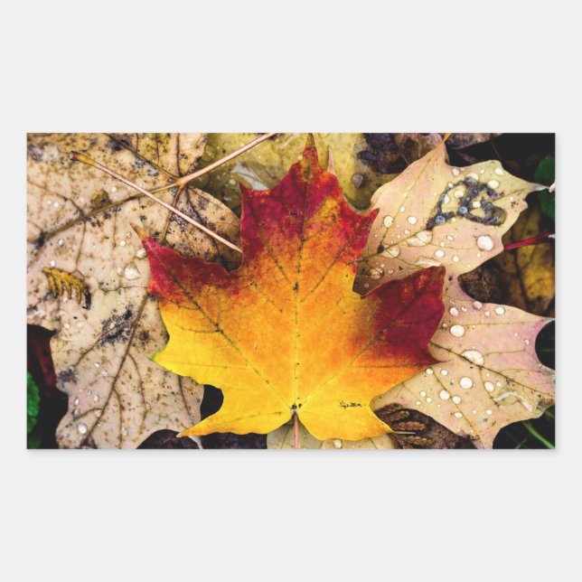 autumn presence sticker (Front)