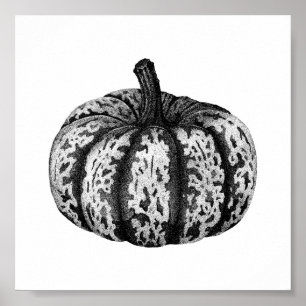 Autumn Pumpkin Ink Stipple Drawing Poster