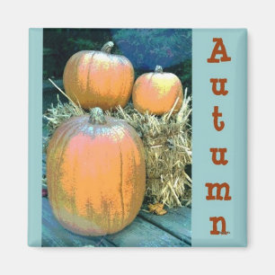 Autumn Pumpkin Magnet
