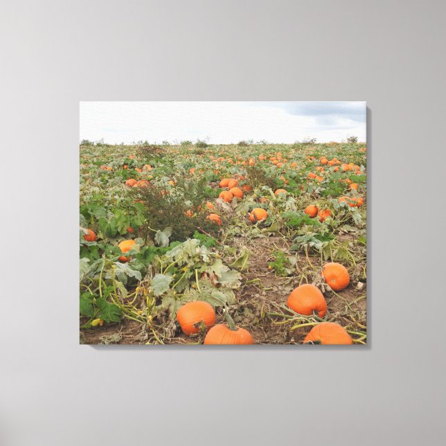 Autumn Pumpkin Patch Photography Canvas Print (Front)