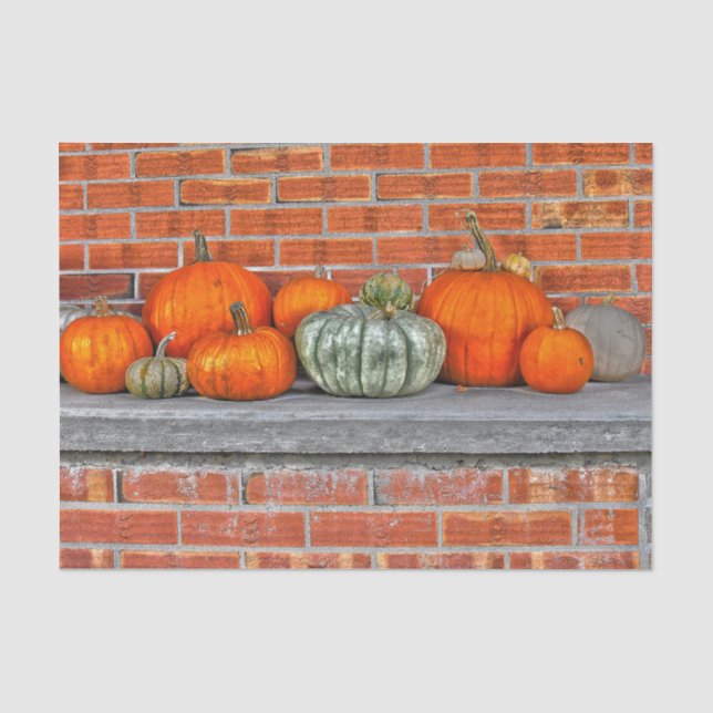 Autumn Pumpkins Bright Orange Brick Background Tissue Paper (Front)
