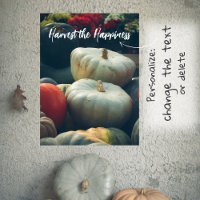 Autumn pumpkins in a rustic garden