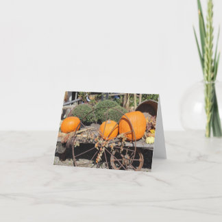 Autumn Pumpkins Note Cards