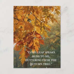 Autumn Quotes Forest Trees Leaves Ways  Postcard