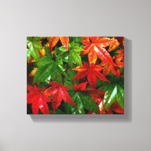 Autumn Rain Canvas Print