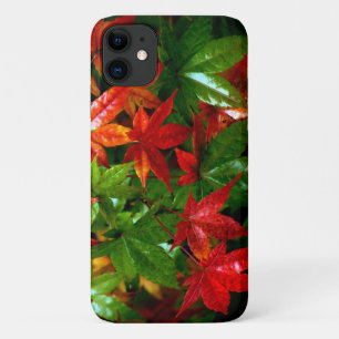Autumn Rain iPhone 11 Case