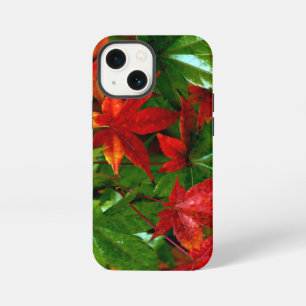 Autumn Rain iPhone 13 Mini Case