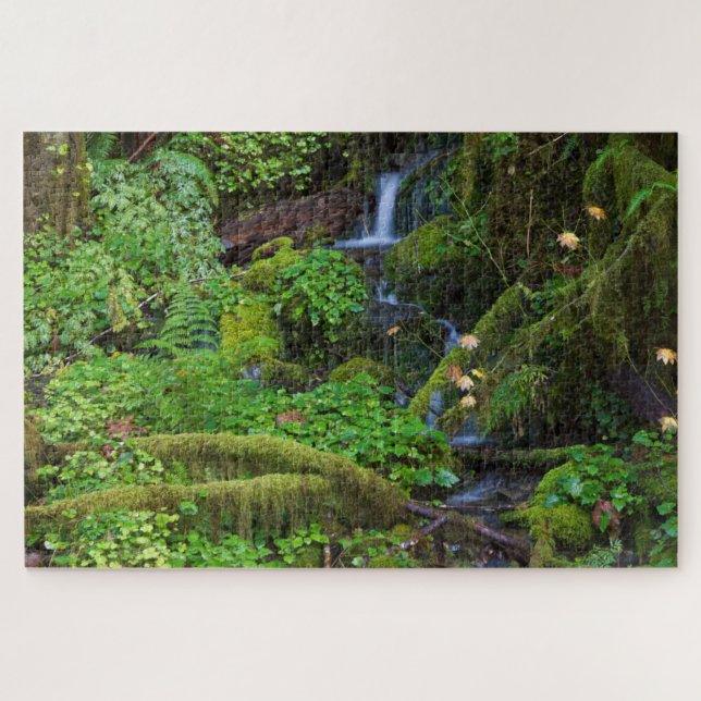 Autumn Rainforest | Olympic National Park Jigsaw Puzzle (Horizontal)