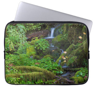 Autumn Rainforest   Olympic National Park Laptop Sleeve
