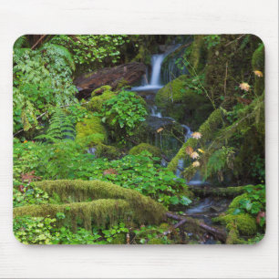 Autumn Rainforest   Olympic National Park Mouse Pad