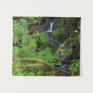 Autumn Rainforest   Olympic National Park Tapestry