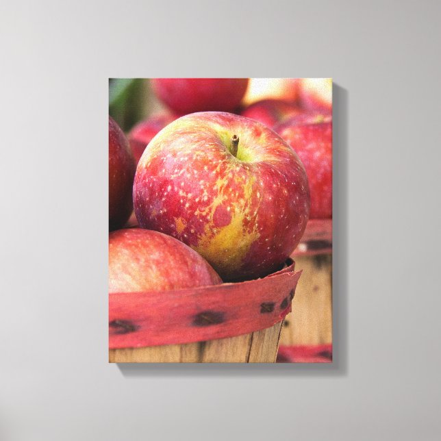Autumn red apples in basket canvas print (Front)