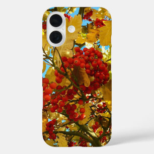 Autumn Red Berry orange Tree Crown Photo - iPhone 16 Case