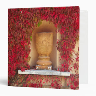Autumn red foliage, New Zealand Binder