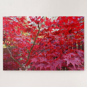 Autumn Red Maple Tree Jigsaw Puzzle