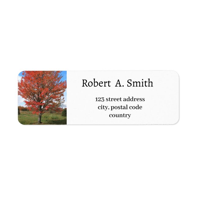 Autumn red maple tree Label (Front)
