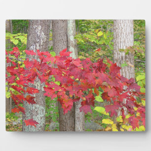 Autumn Red Plaque