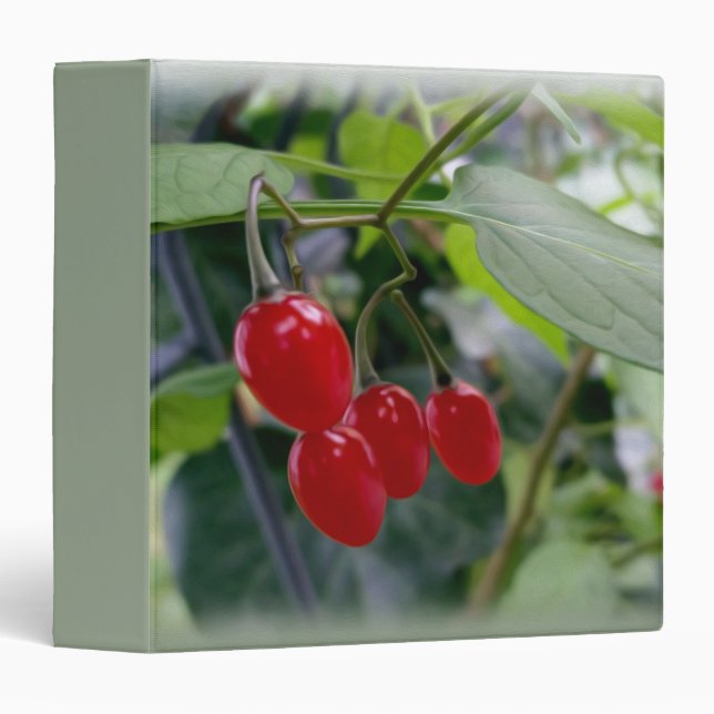 Autumn red spots binder (Front/Spine)