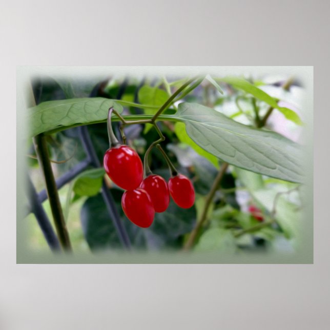 Autumn red spots poster (Front)